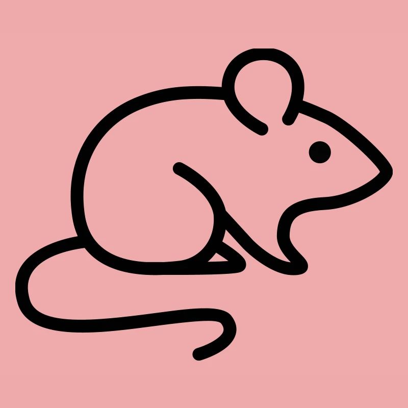 mouse