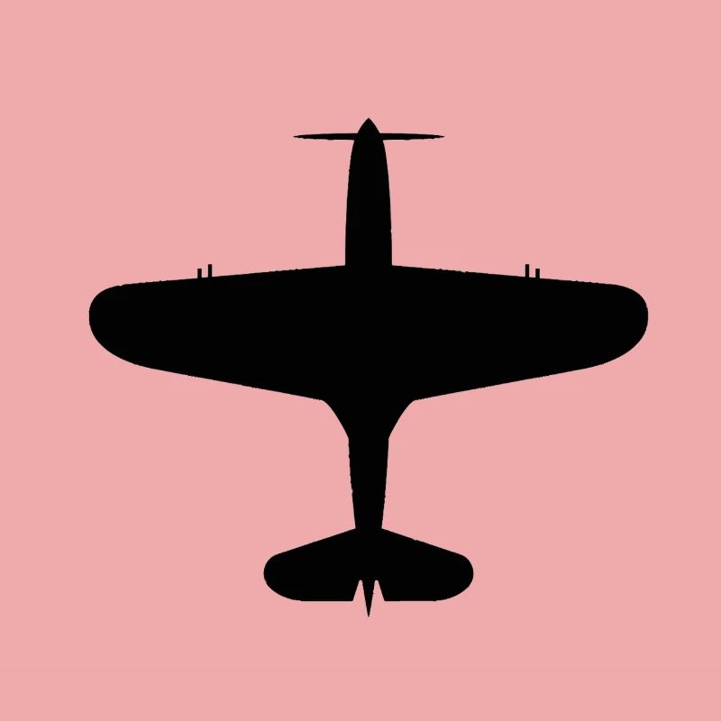 Top-Down Flugzeug Silhouette
