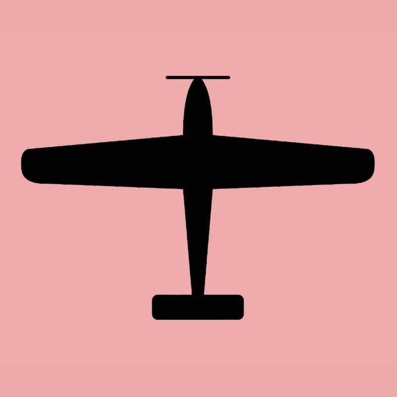 Schwarze Flugzeug-Silhouette