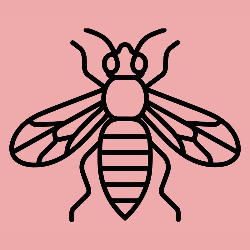 wasp