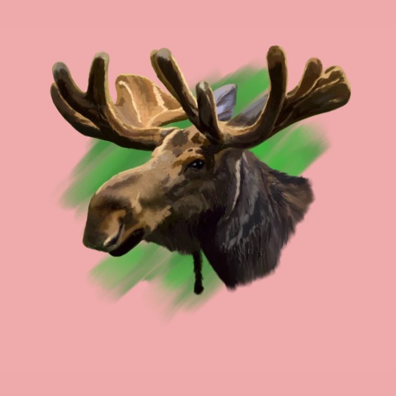 élan