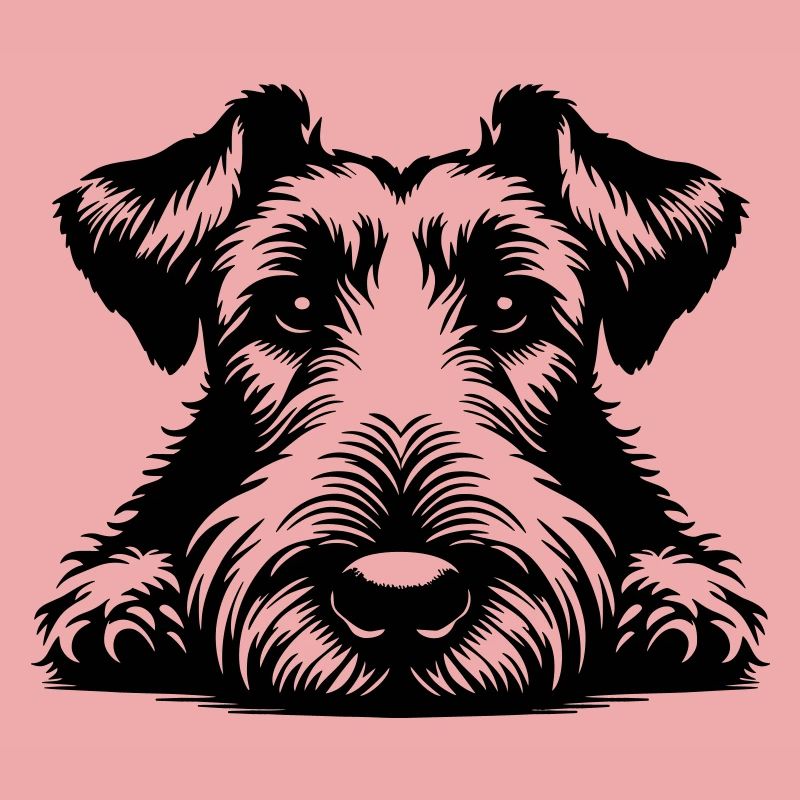 Irish Terrier Head with Paws