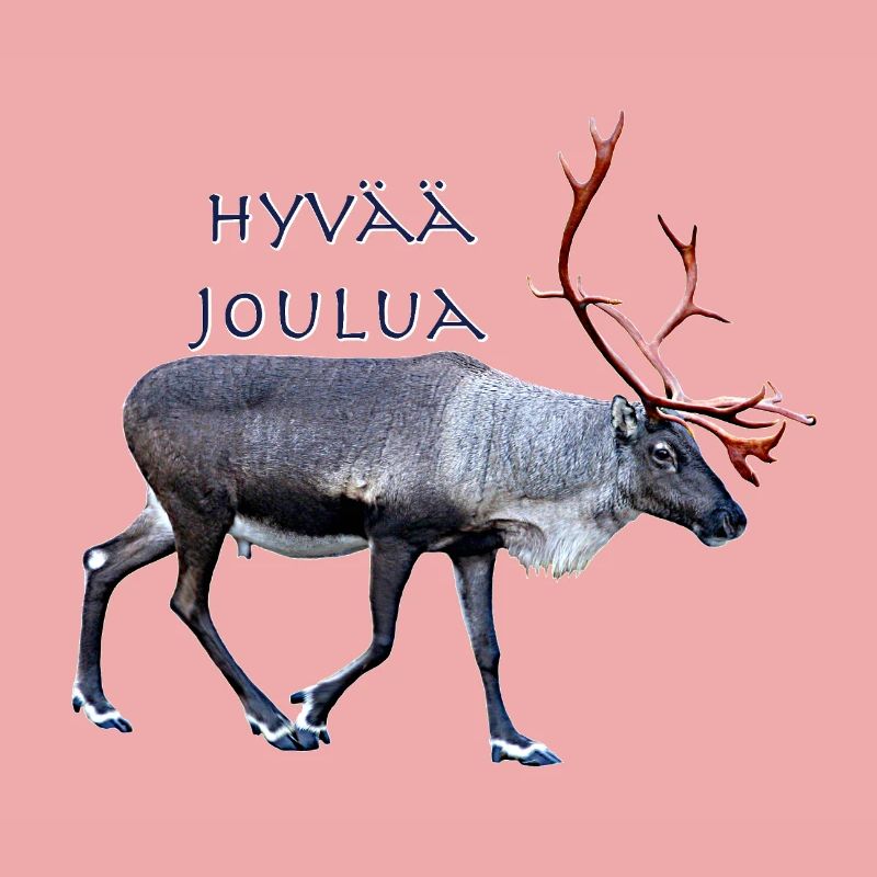 Hyvaa Joulua