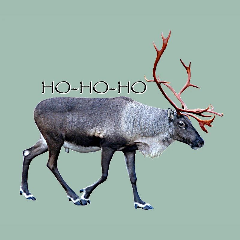 HOHOHO