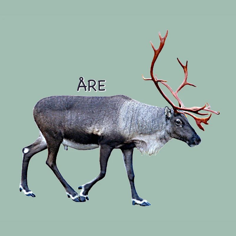 SIND