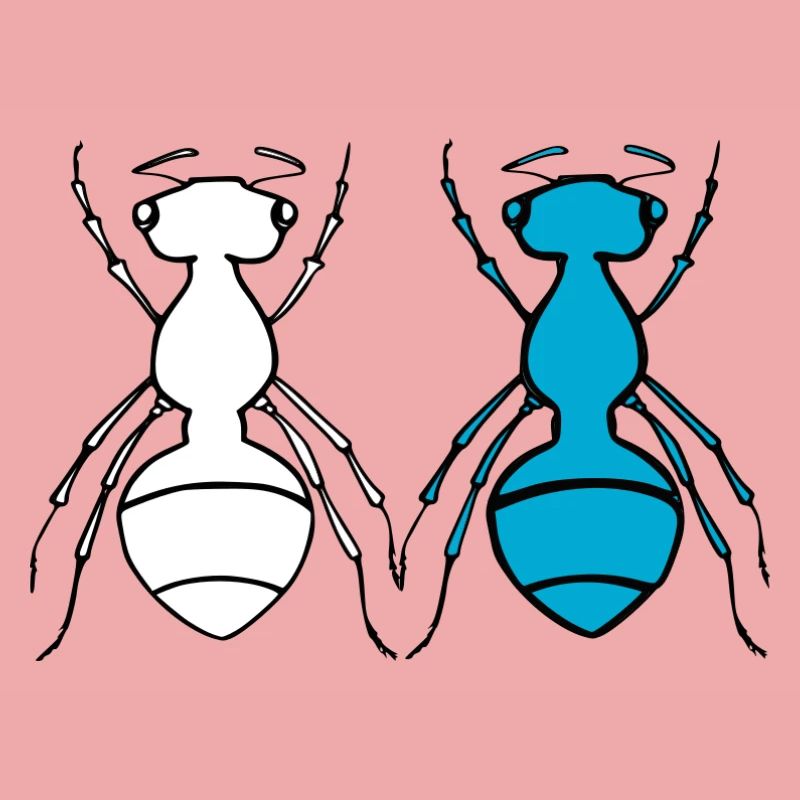 Duo Fourmis