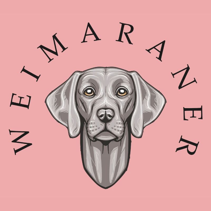 Weimaraner