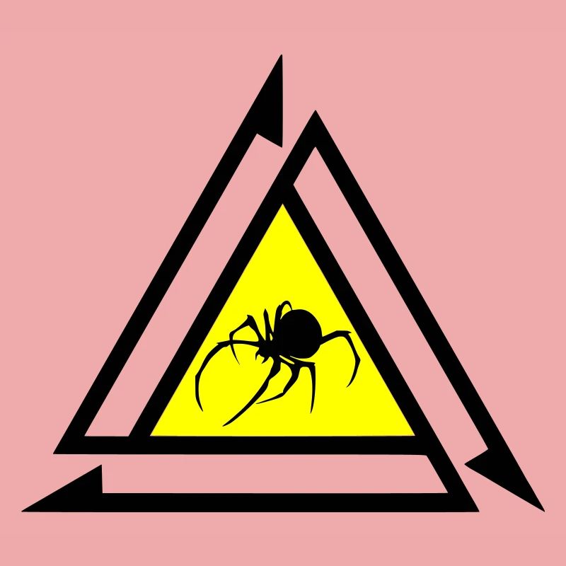 Spinne