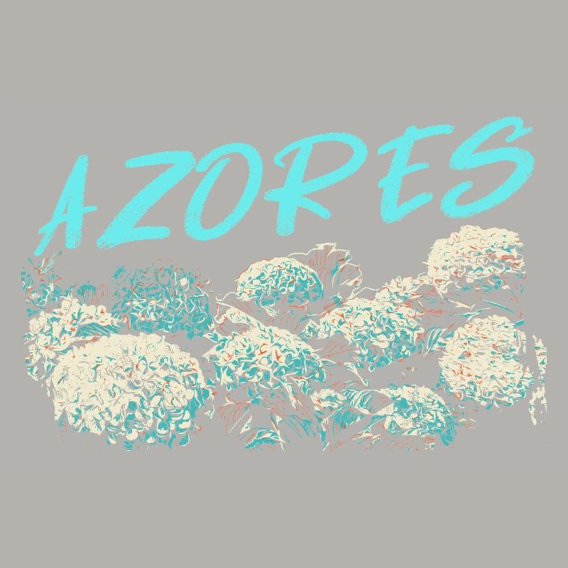 Azores Hydrangea, Blue Hydrangeas