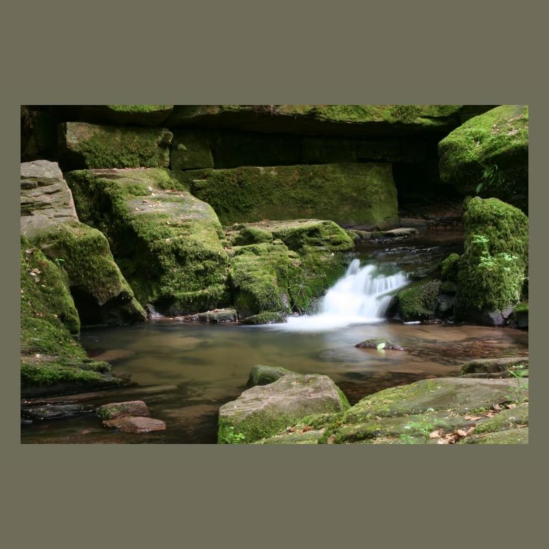 MONBACH IM NORDSCHWARZWALD