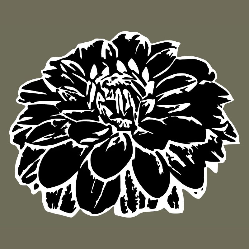 Fleur fleurs noires fleurs noires fleurs graphiques