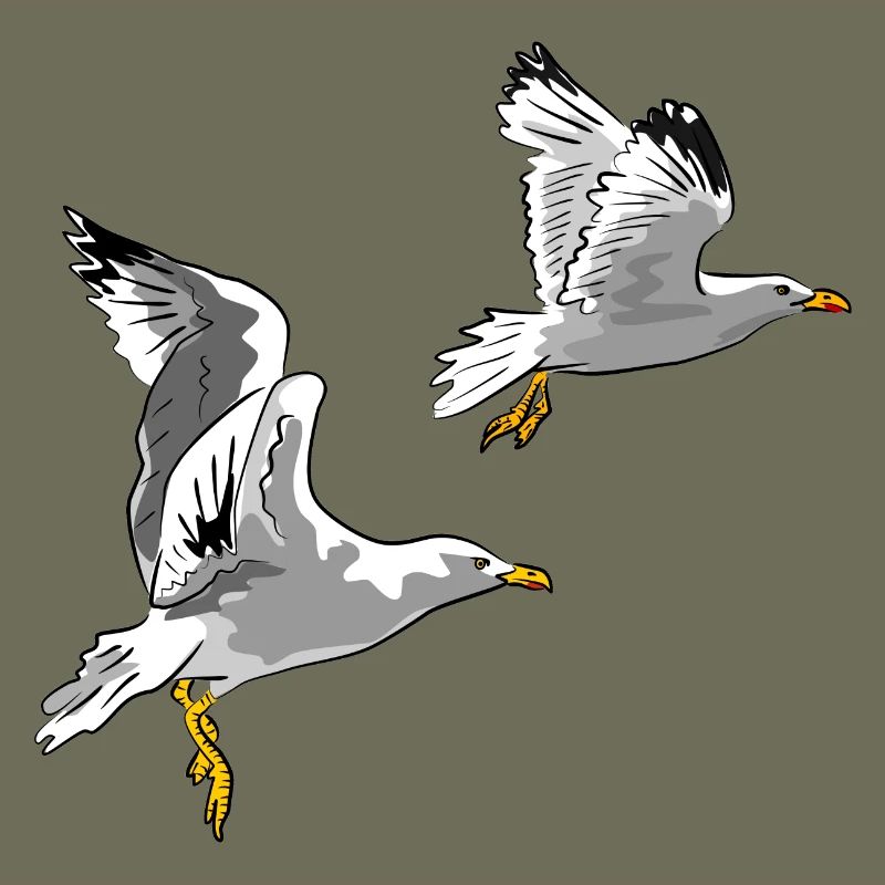 Möwen im Flug Design