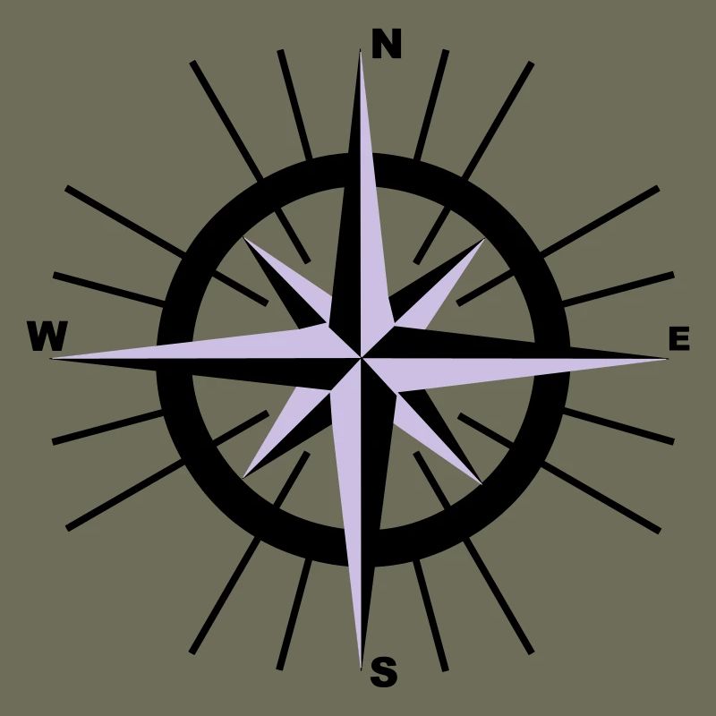 Compass nautique