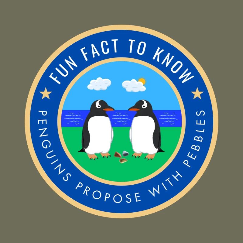 Penguins propose with pebbles