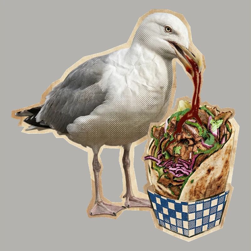 Döner Möwe