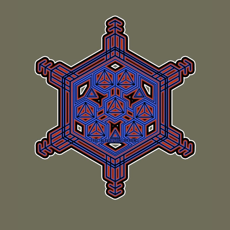 Fractal Evolution Experience Star Hexagon Pattern