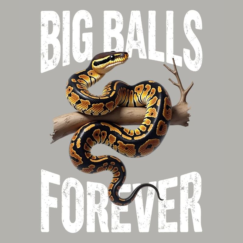 King Python Snakes Lover Terrarium Python