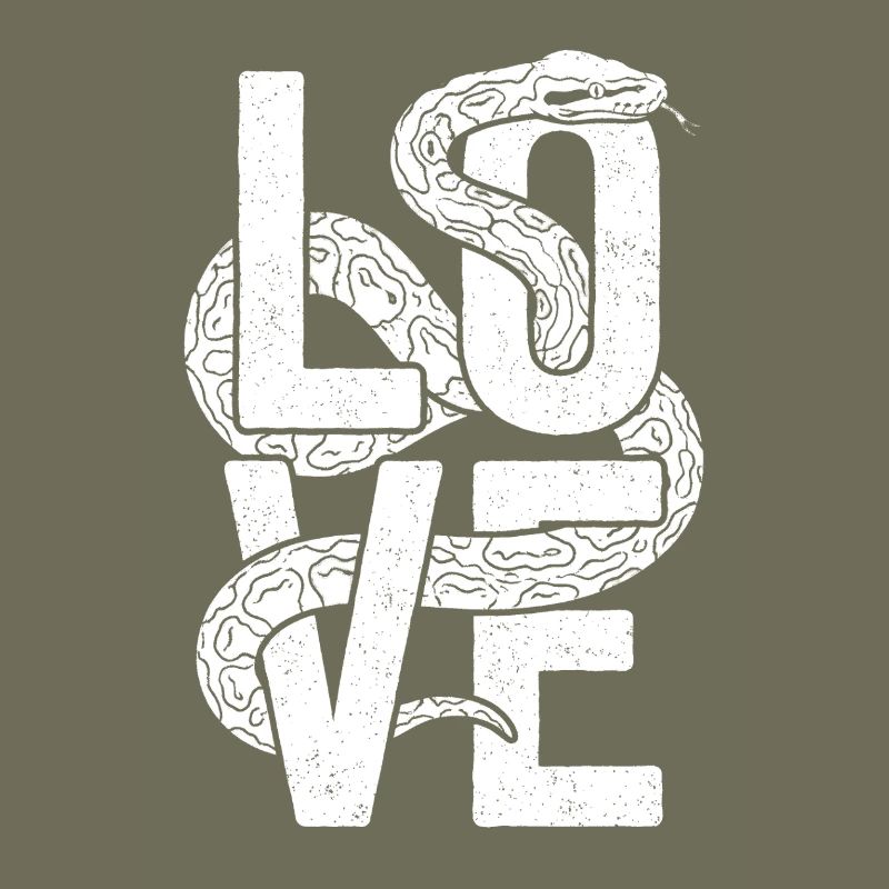 Königspython Schlangen LOVE Terrarium Python
