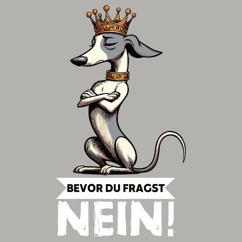 Avant de demander aux Whippets Greyhound Whippets