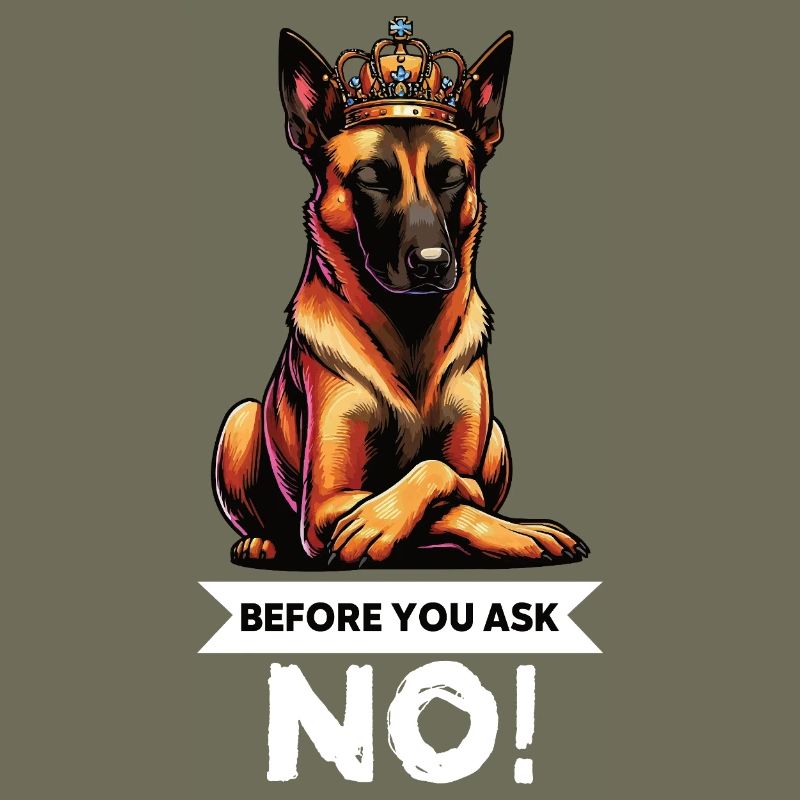 Before You Ask Malinois Belgischer Schäferhund 