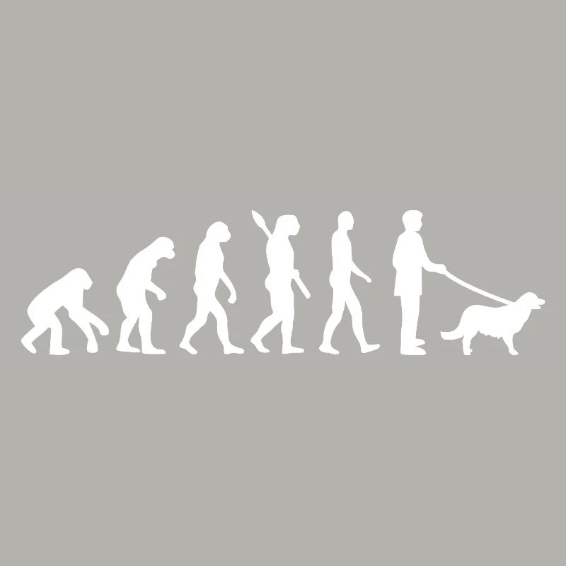 Evolution to Dog Walker