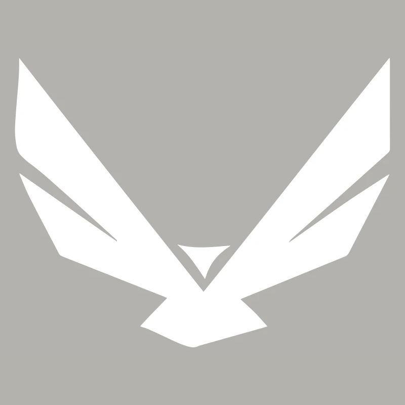 Eagle in the simplest form - design