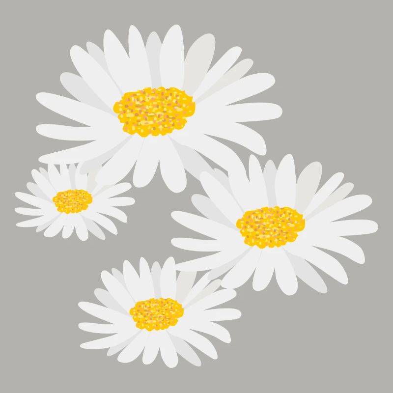 Blume Gänseblümchen