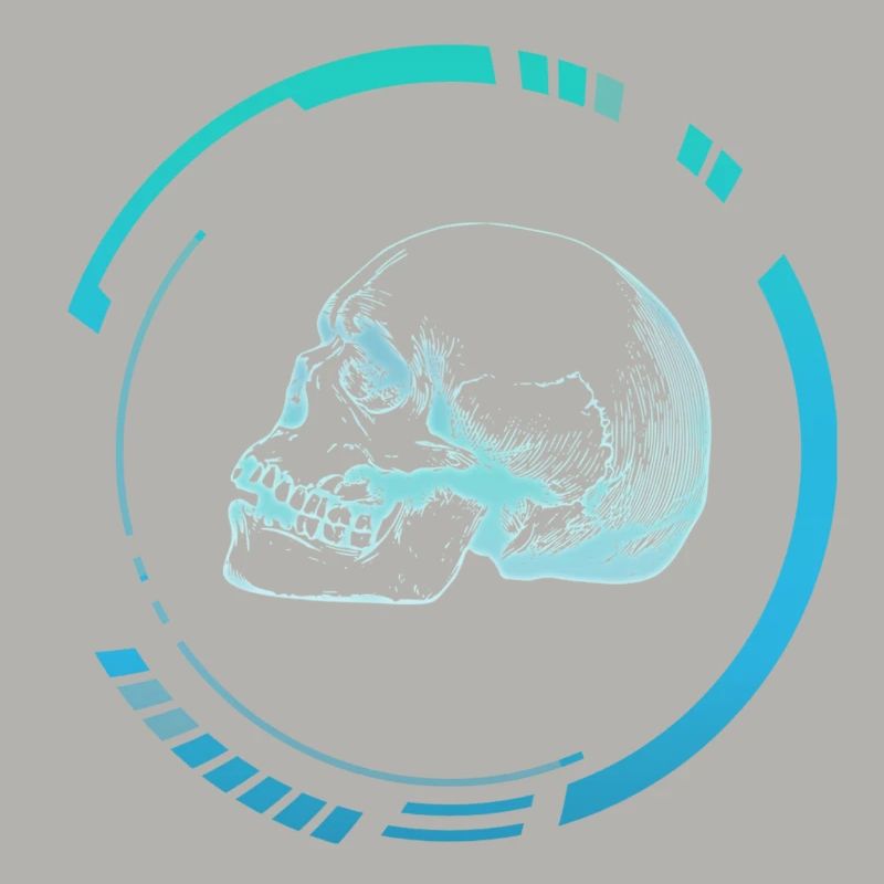 Human head X-ray image