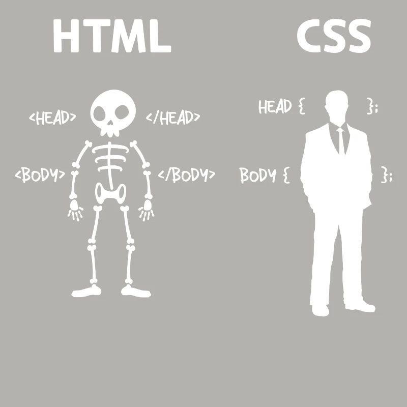 Code Css C++ Php Java Developer Code Skripting