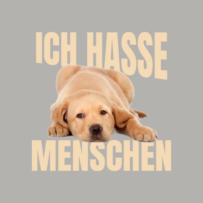 Labrador Meme