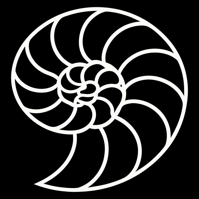 Spirale Nautile Blanche