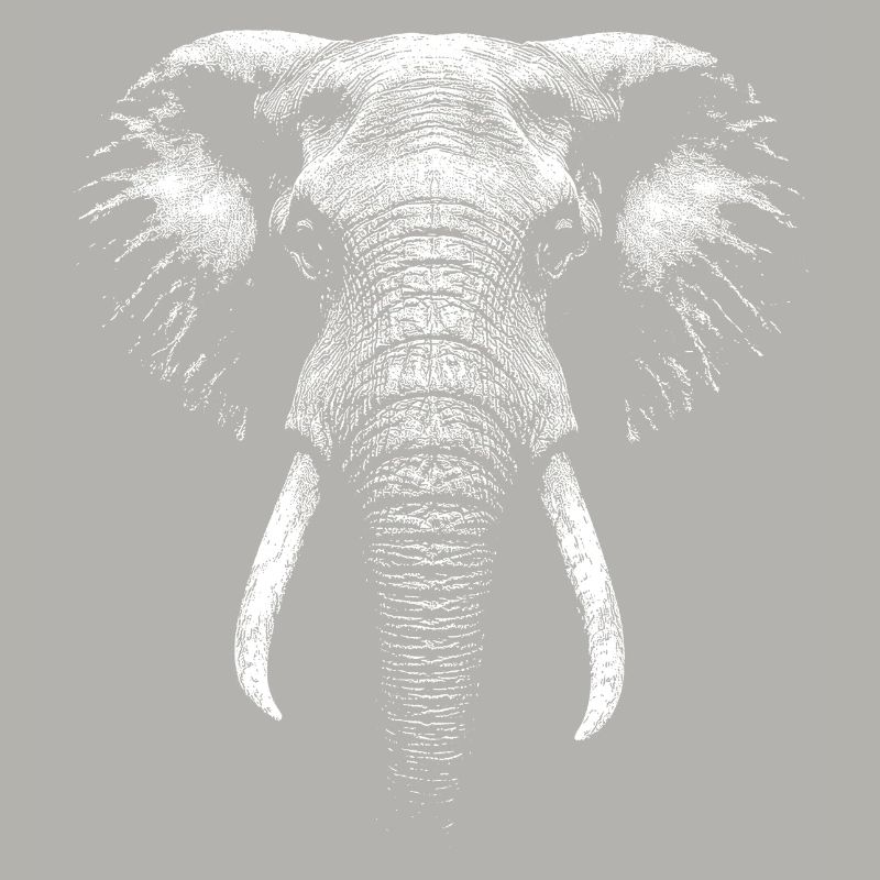 Éléphant d’afrique