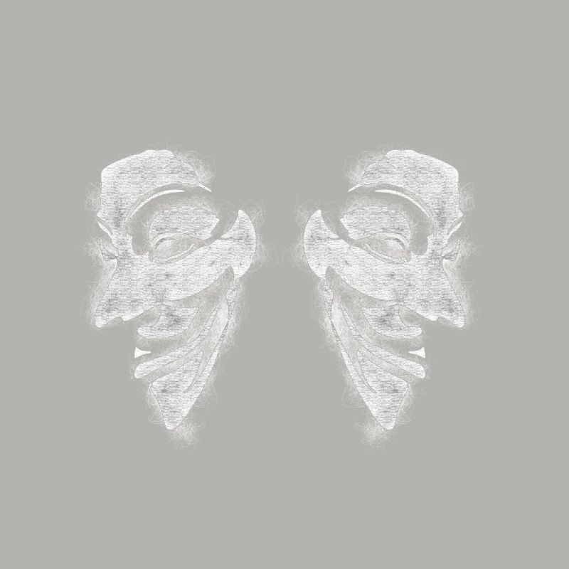 Anonymous v comme vendetta Double Head