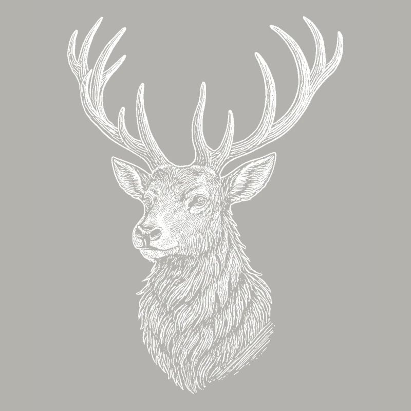 Hirsch