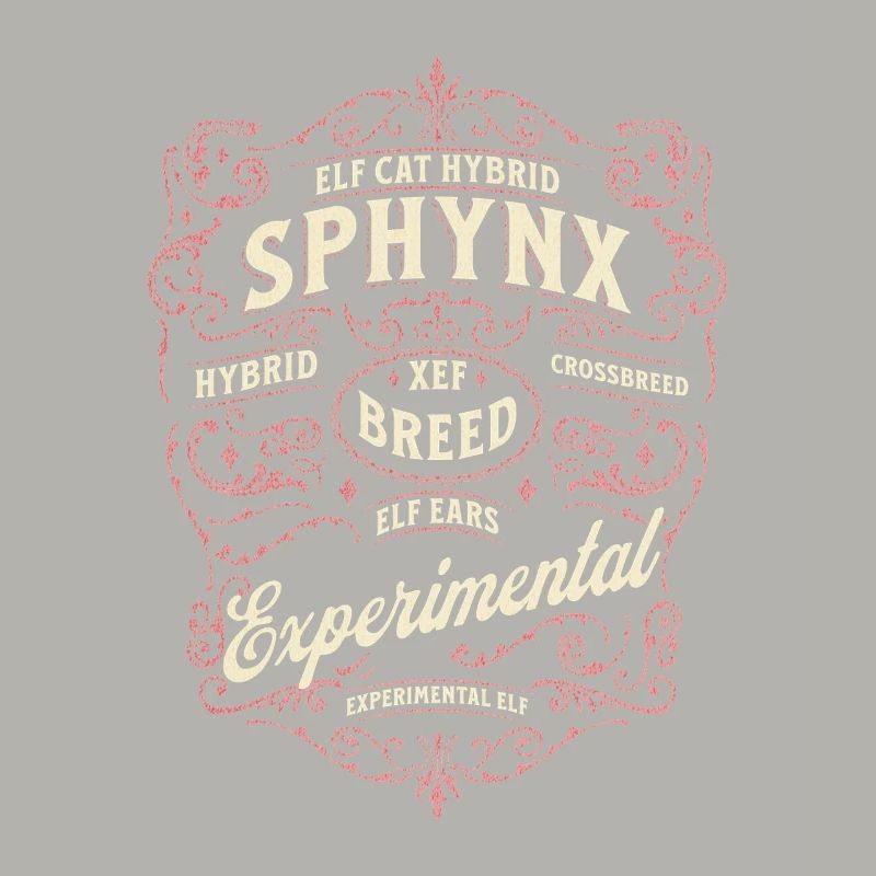 Elfe Sphynx Chat