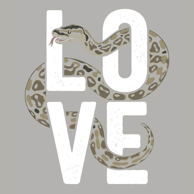 Les serpents rois Python ADORENT les pythons de terrarium
