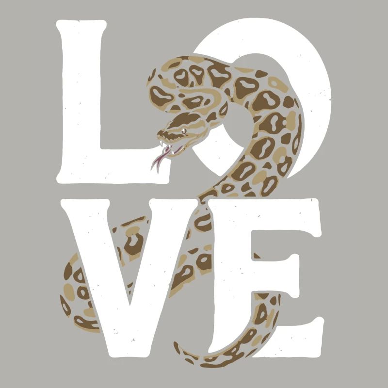 King Python Snakes LOVE Terrarium Python