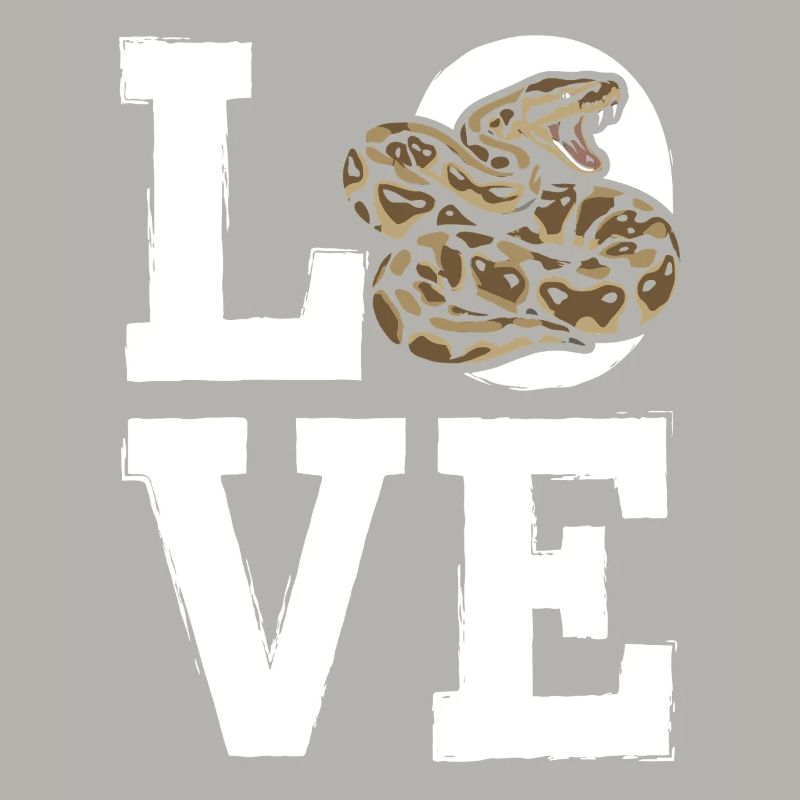 King Python Snakes LOVE Terrarium Python