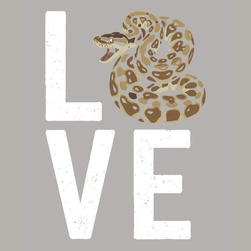 Königspython Schlangen LOVE Terrarium Python