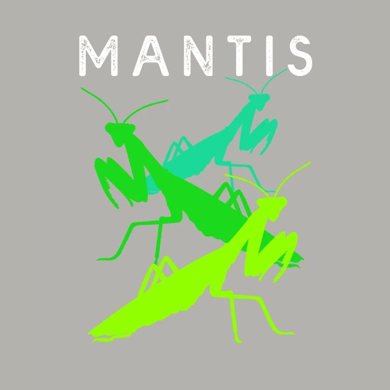 Gottesanbeter Gottesanbeterin Mantis