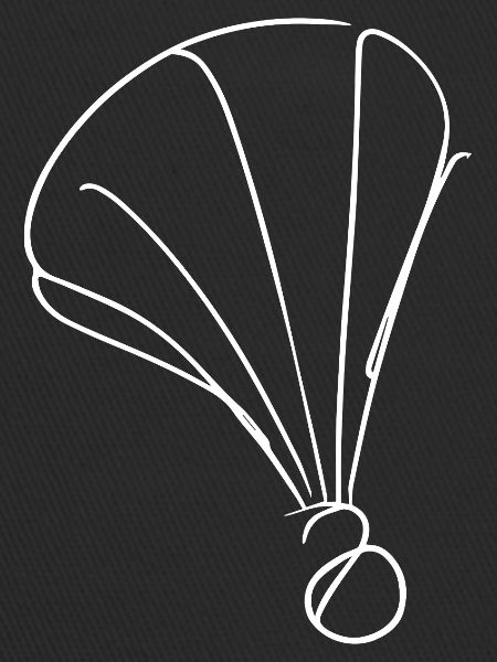 Badminton Drawing
