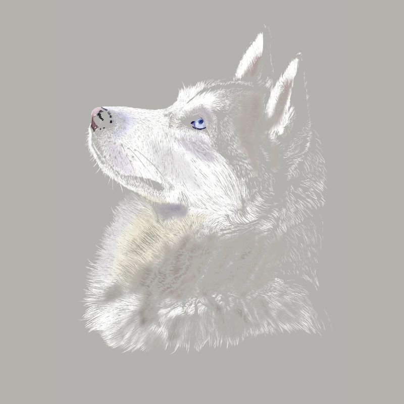 husky