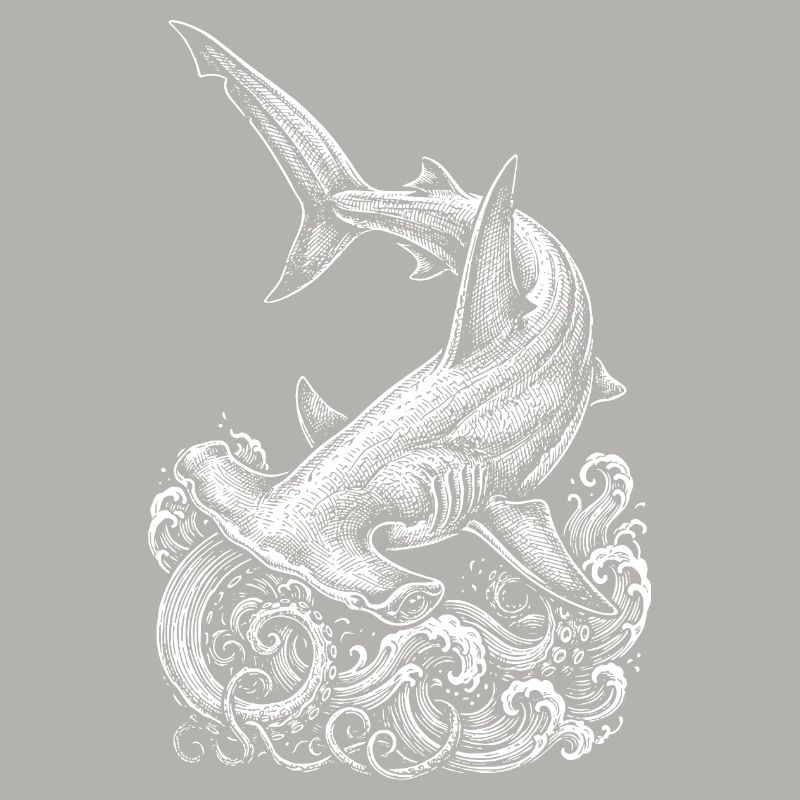 Conception du requin-marteau
