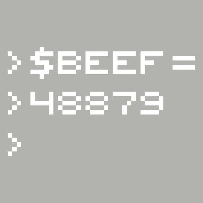 BEEF 8-Bit Code Nerd Pixel Terminal Retro