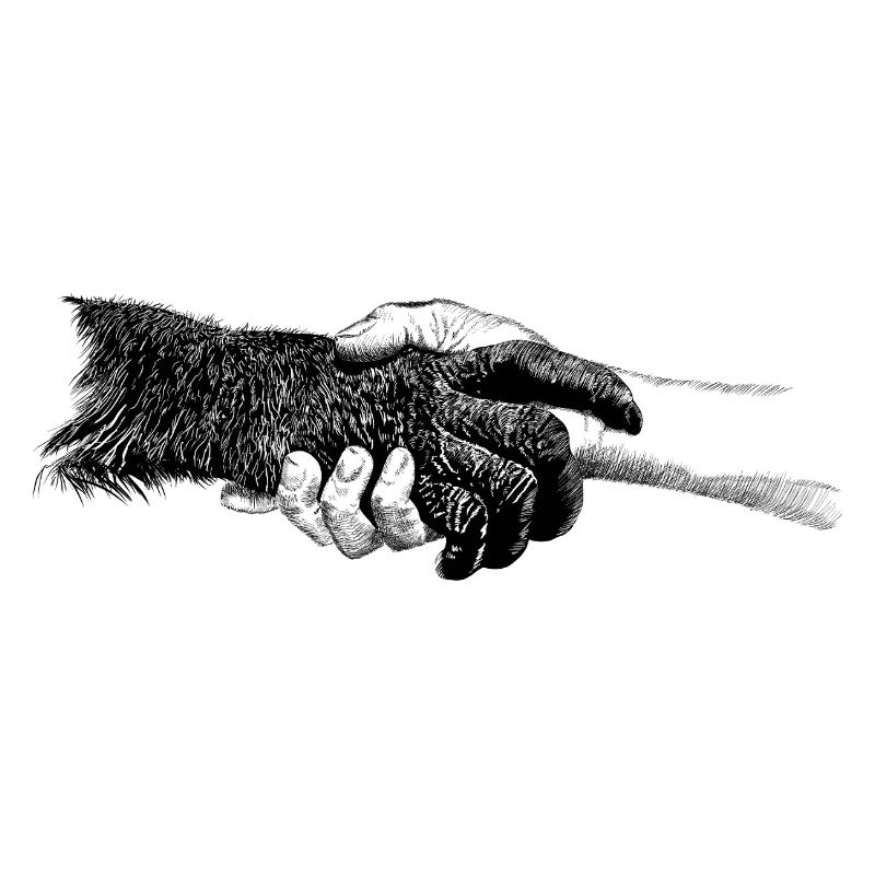 Hands