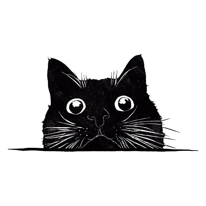 Peeping cat with whiskers black