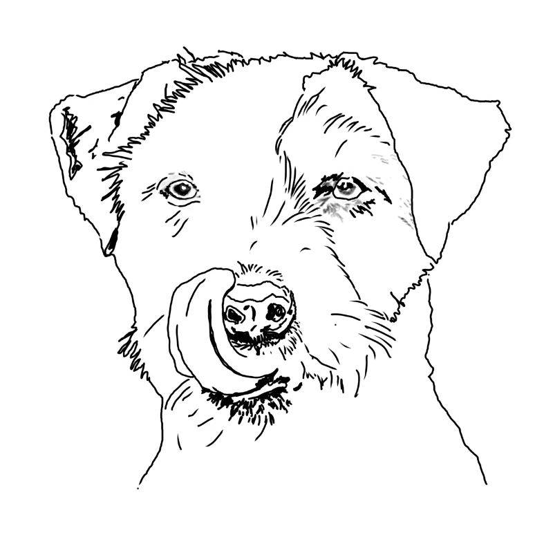 Terrier