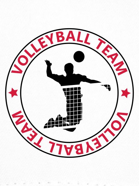 Volleyball team
