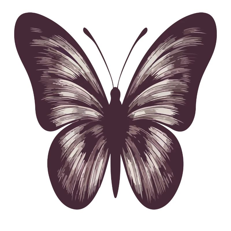 Schmetterling