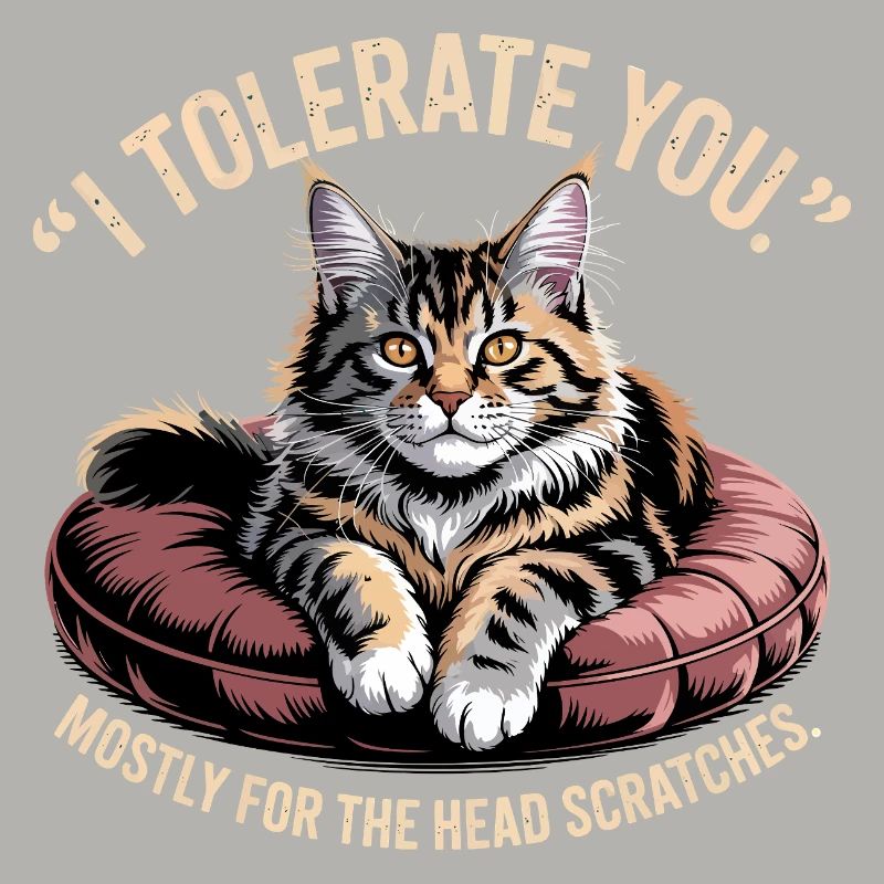 Head Scratch Cat